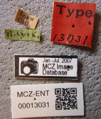 Media type: image;   Entomology 13031 Aspect: labels